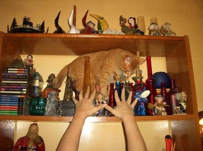Egy másodperccel a totális katasztrófa előtt.
