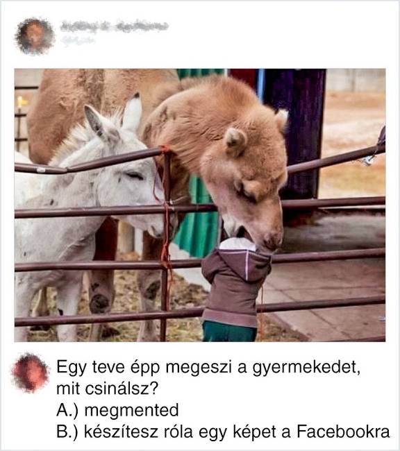 18 ember, aki nem mindig képes visszafogni az éles nyelvét