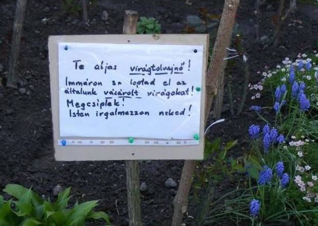 Legalább valaki, ha már ő úgysem fog