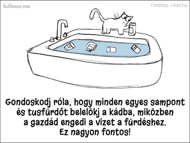 20 humoros illusztráció, ami megmutatja, hogyan kell jó macskának lenni