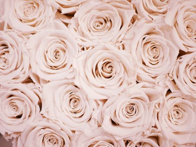 lauza loistl pkFo3Lm d0s unsplash
