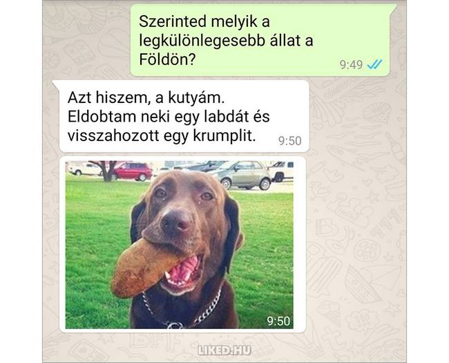 21 üzenet, ami bizonyítja, hogy az emberek reakciója kiszámíthatatlan