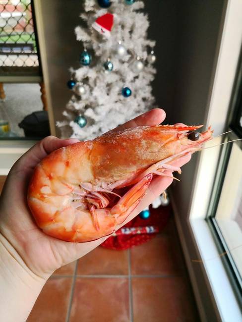 Egy ilyen garnélarákból elég kettő is ahhoz, hogy jól lakjunk.