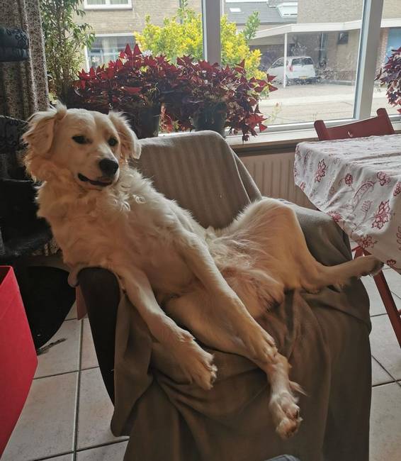 „Szeret velünk egy asztalnál ülni."
