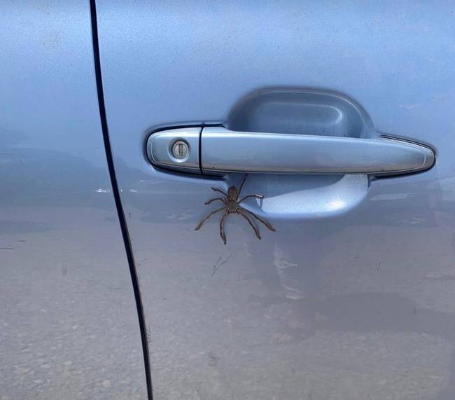 Úgy tűnik, hogy ma valaki busszal megy dolgozni.