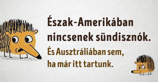 Sündisznók amerikában és ausztráliában