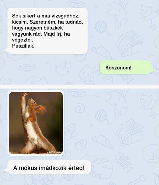 Anya vs. apa ösztönző üzenete.