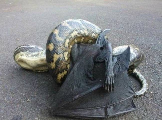 Így ért hát véget Batman pályafutása.
