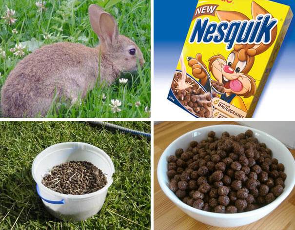 Nem véletlenül olyan gömbölyű.