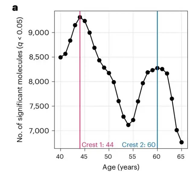 Forrás: Shen et al. Nature Aging 2024.