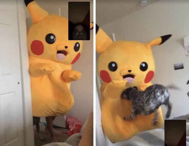 „A bátyám Pikachu jelmezbe bújt, erre a kutyánk megtámadta."