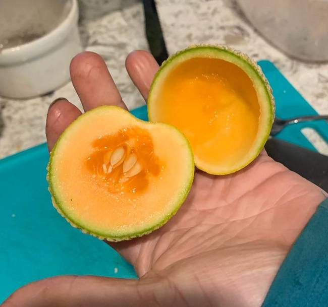 „Ez egy apró, teljesen érett dinnye a kertünkből."
