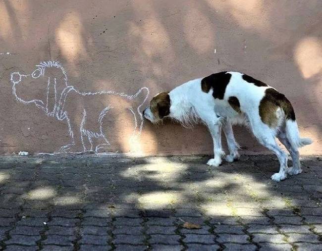 Nem tudsz mit kezdeni az ártatlanságával.