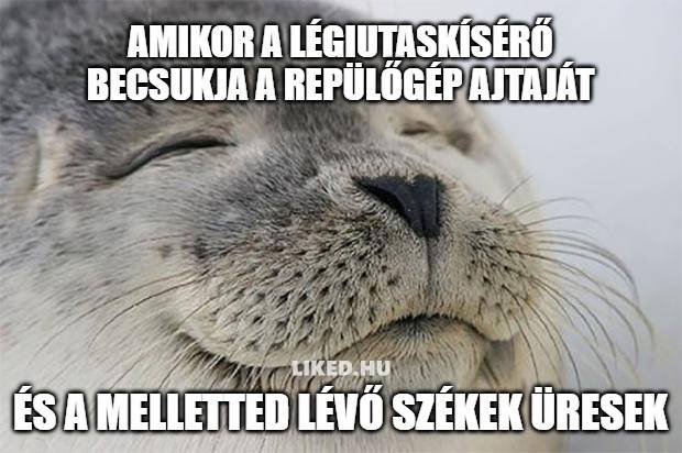 17 repüléssel kapcsolatos mém, amit mindenki át tud érezni, aki valaha is ült már repülőn életében