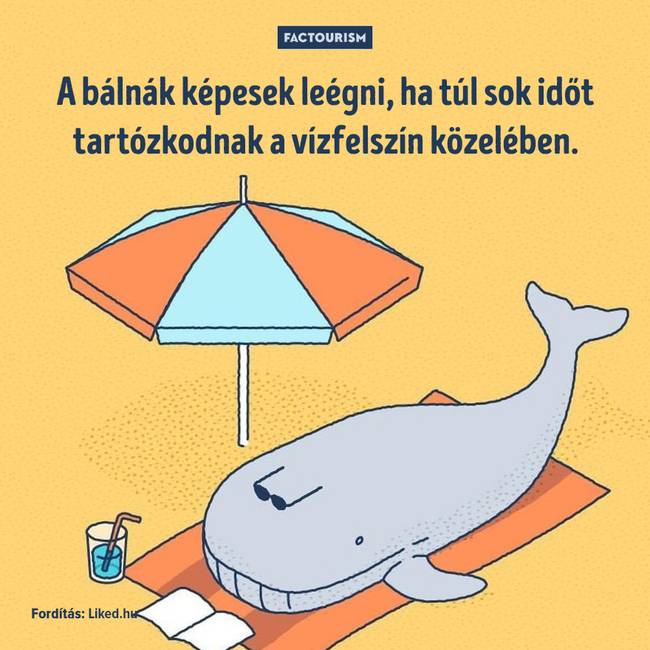 25+ őrült tény a világról, ami még a tapasztalt tudósokat is sokkolja