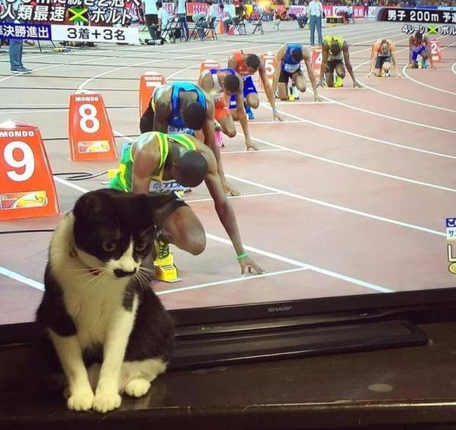 Egyértelmű, ki lesz a győztes.