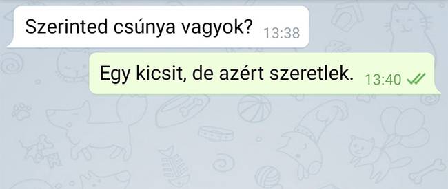 „A 10 éves öcsém üzenetváltása a barátnőjével."