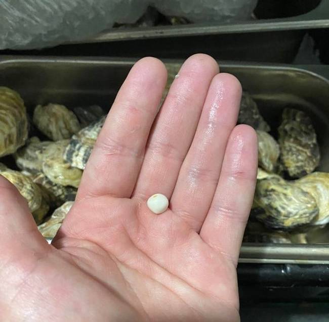 „Ma megütöttem a főnyereményt az egyik kagyló kinyitása közben.''