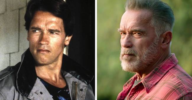 Terminátor, alakítja: Arnold Schwarzenegger