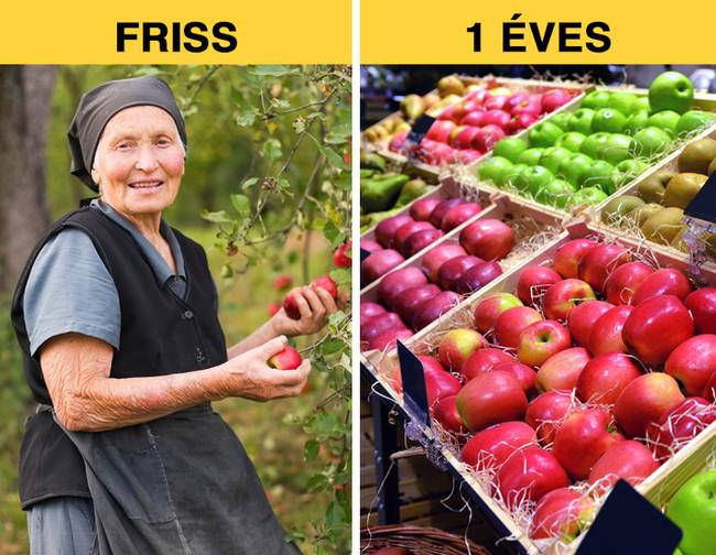 Friss vs 1 éves alma