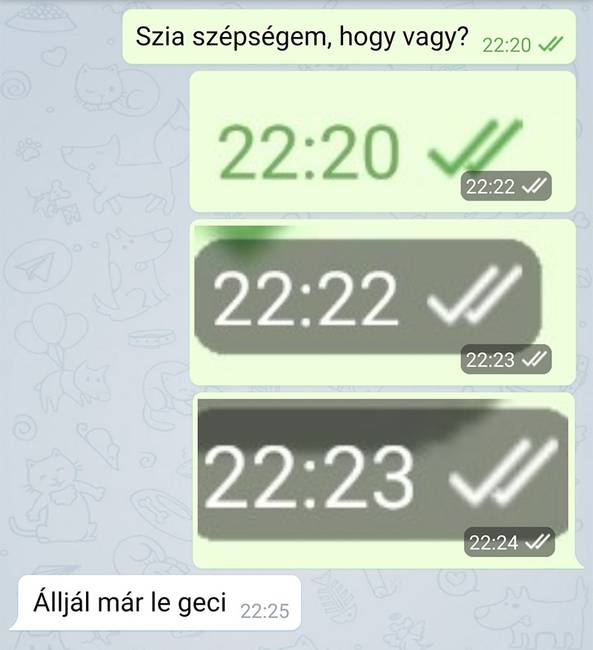 20 üzenet, ami bizonyítja, hogy a társkeresés néha kellemetlenül bonyolult