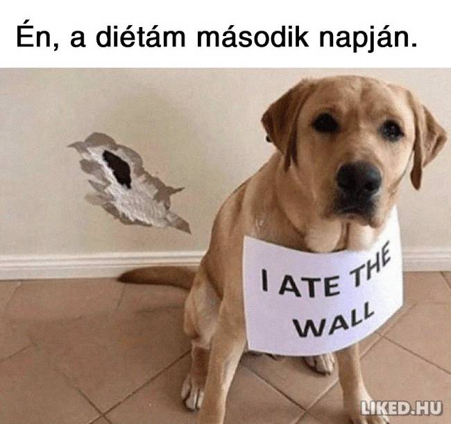 21 fogyókúrázással kapcsolatos mém, ami többet mond minden szónál