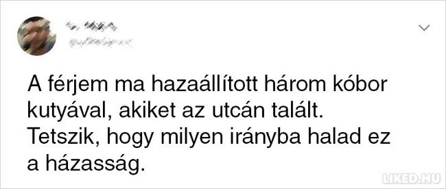 20 házas ember, akik mellett egy pillanatra sem lehet unatkozni