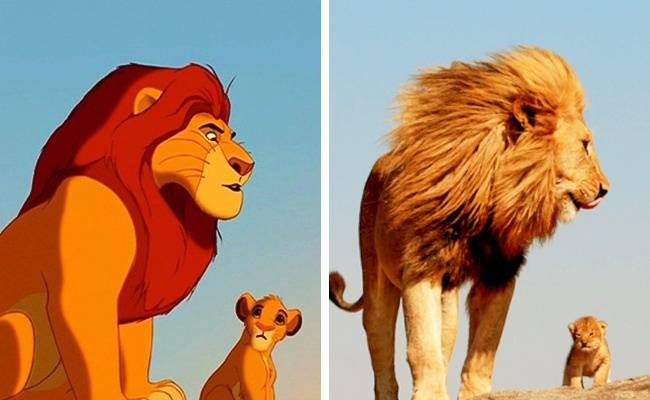 Mufasa és Simba (Az oroszlánkirály)