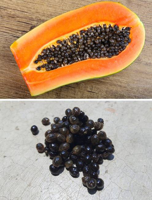 Papaya és papaya mag használata a bőrön