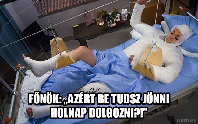 20 vicces mém a főnökökről, amit jobb, ha nem a munkahelyeden nézel meg