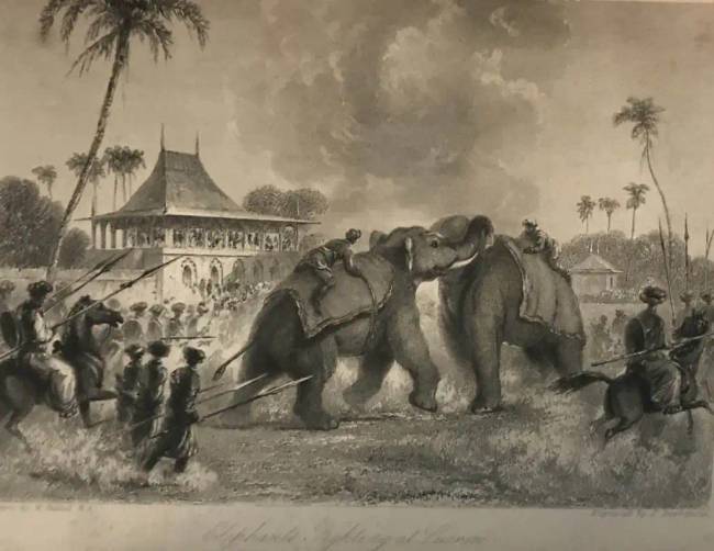„Elefántviadal Lakhnauban”, J. Stephenson metszete William Daniell rajza nyomán.