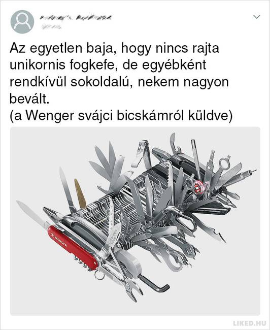 Csak egy hibája volt.