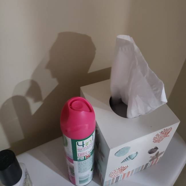 Ez az árnyék épp úgy néz ki, mint egy hevesen gondolkodó férfi.