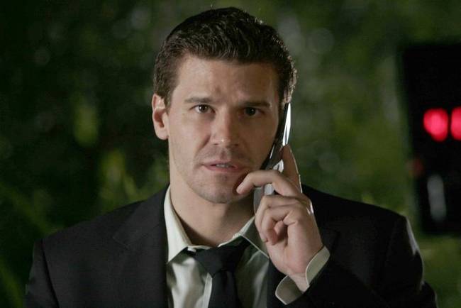 David Boreanaz - 225 .000 dollár (Dr. Csont)