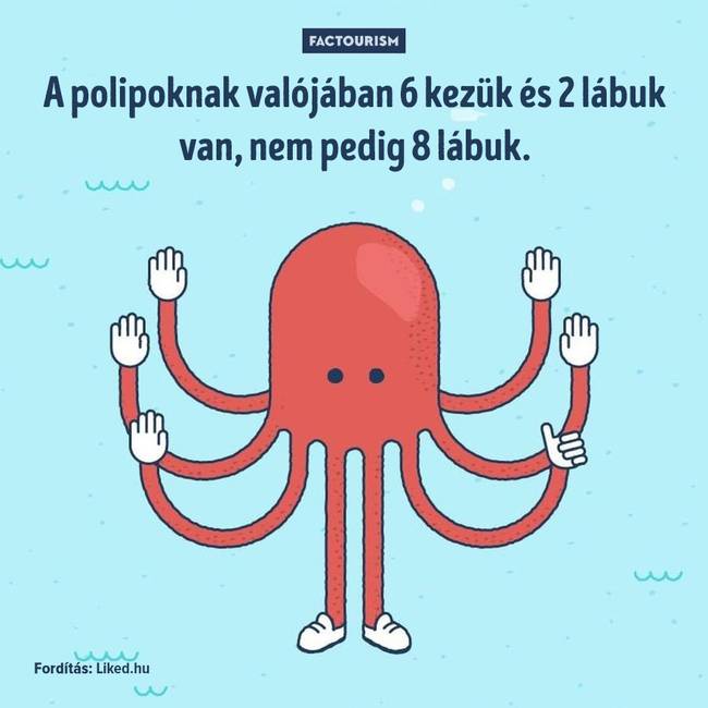 25+ őrült tény a világról, ami még a tapasztalt tudósokat is sokkolja