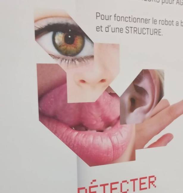 „Ez a poszter az iskolámban lóg. 4 napig tartott rájönnöm, hogy az ott nem egy felső ajak, hanem egy nyelv."