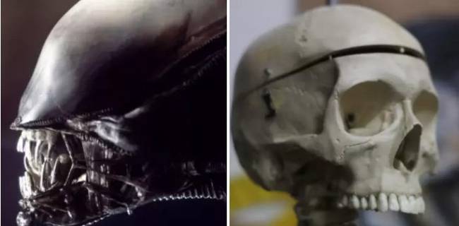 Az Alien filmek szörnyeinek első modelljeihez valódi emberi koponyákat használtak.