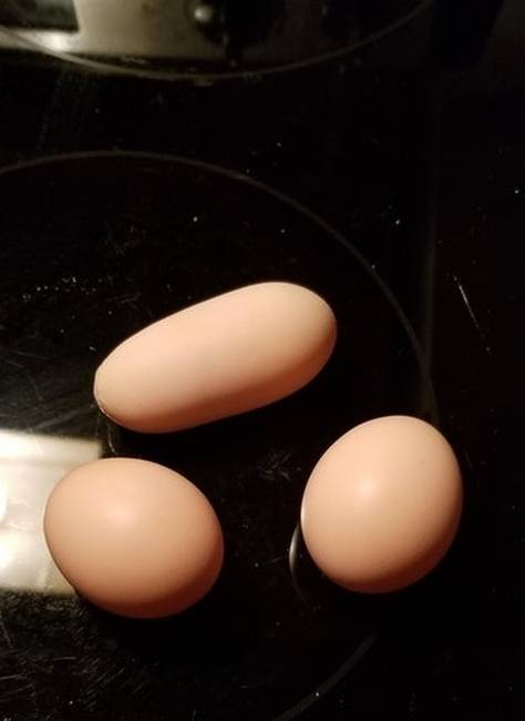 „Találtam egy meglepően furcsa formájú tojást."