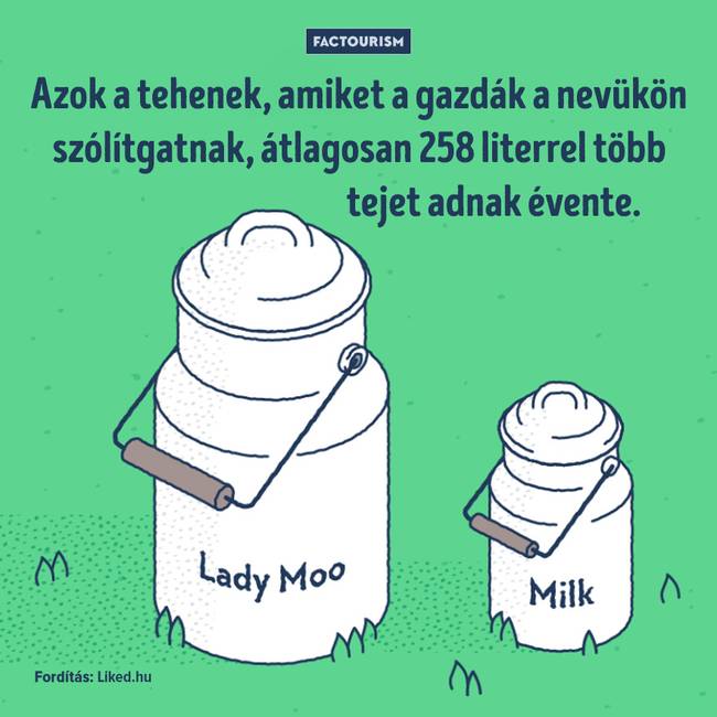 25+ őrült tény a világról, ami még a tapasztalt tudósokat is sokkolja