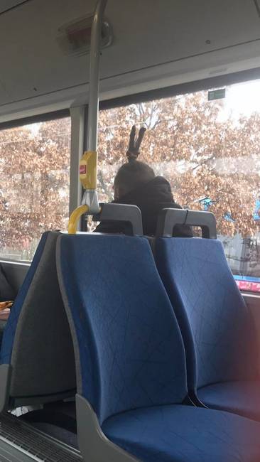 „Ma láttam ezt a srácot antennákkal a fején."