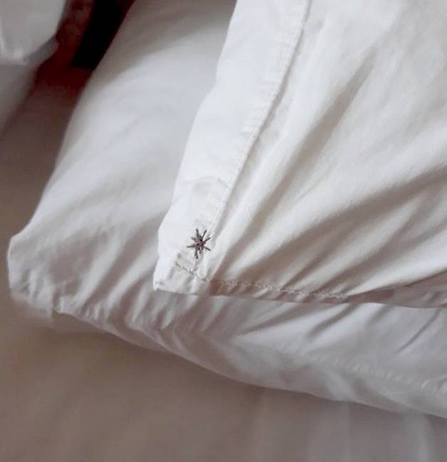 Ez a hímzés garantáltan frászt hoz mindenkire, aki kicsit is arachnofóbiás.