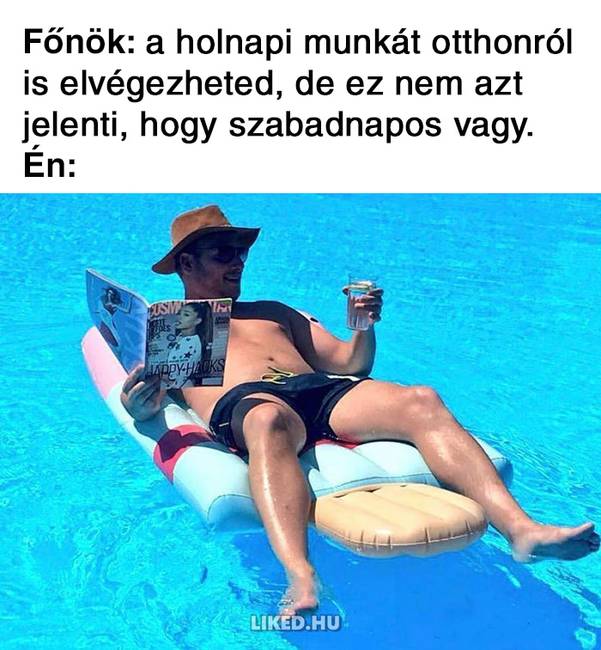 20 vicces mém a főnökökről, amit jobb, ha nem a munkahelyeden nézel meg