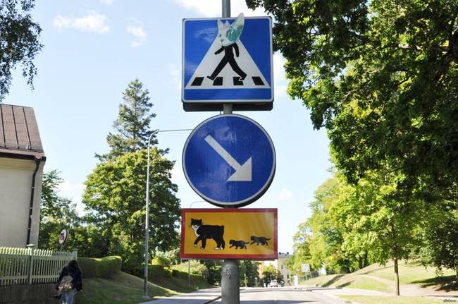 Uppsalában (Svédország) van egy közúti tábla, ami arra figyelmeztet, hogy egy macska kiscicákkal együtt megy át az úton.