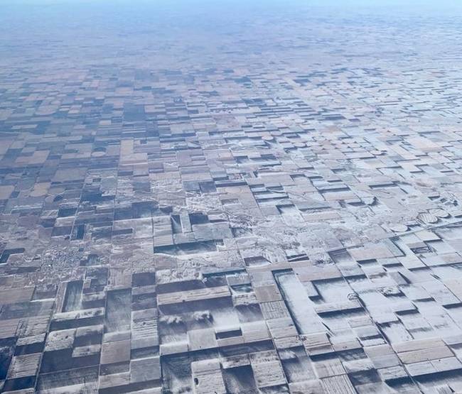 Ezek az ültetvények Colorado keleti részén látványos háromdimenziós illúziót keltenek.