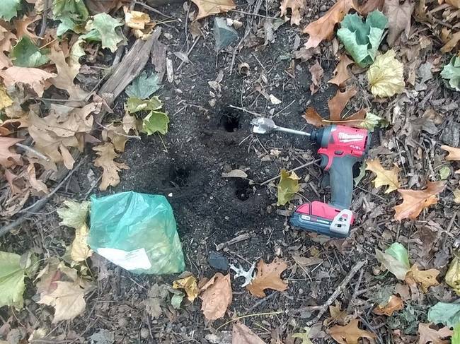 „Ha egy hülye ötlet működik, akkor nem hülyeség. 2 óra alatt 300 virághagymát ültettem."