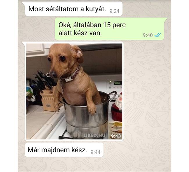 21 üzenet, ami bizonyítja, hogy az emberek reakciója kiszámíthatatlan