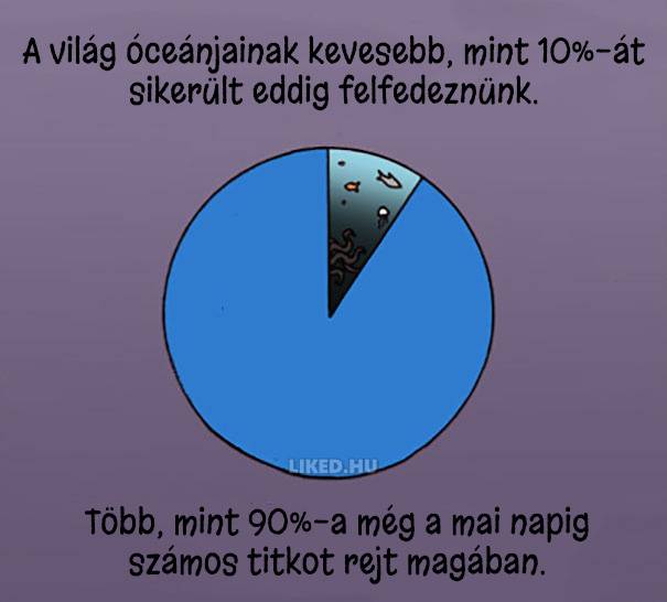 20 őrült tény az állatokról, amit nem tanítottak meg nekünk az iskolában