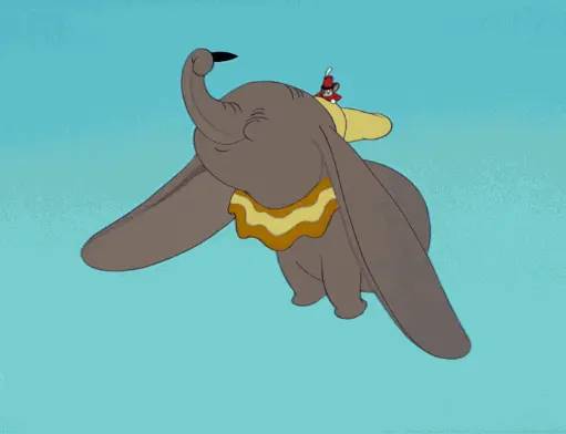 buszke-elefant