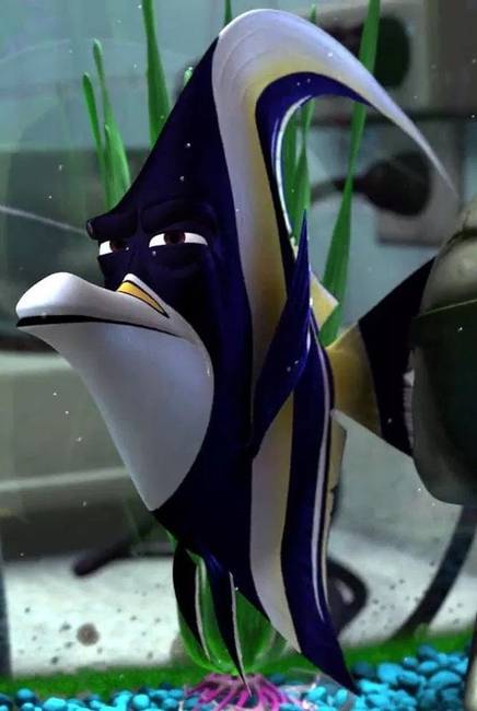 Búb egy márványhal, amikről köztudott, hogy nem viselik jól a fogságot. (Némó nyomában, 2003)