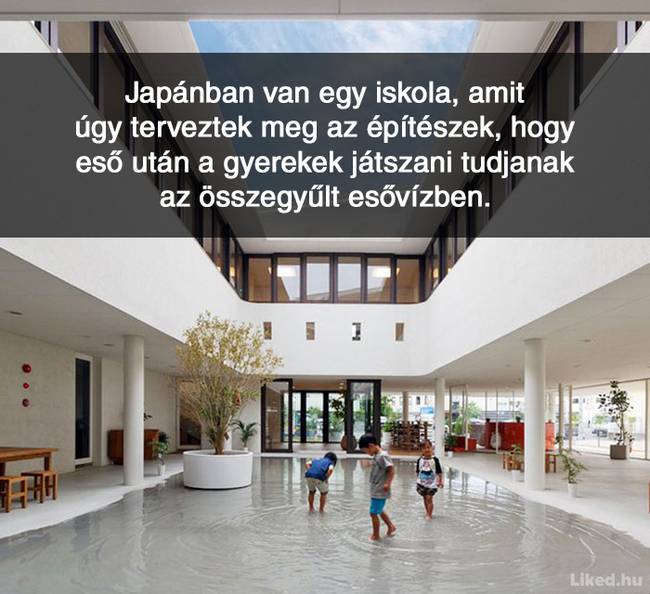 20+ örömteli tény, ami után teljesen más szemmel nézel majd a világra